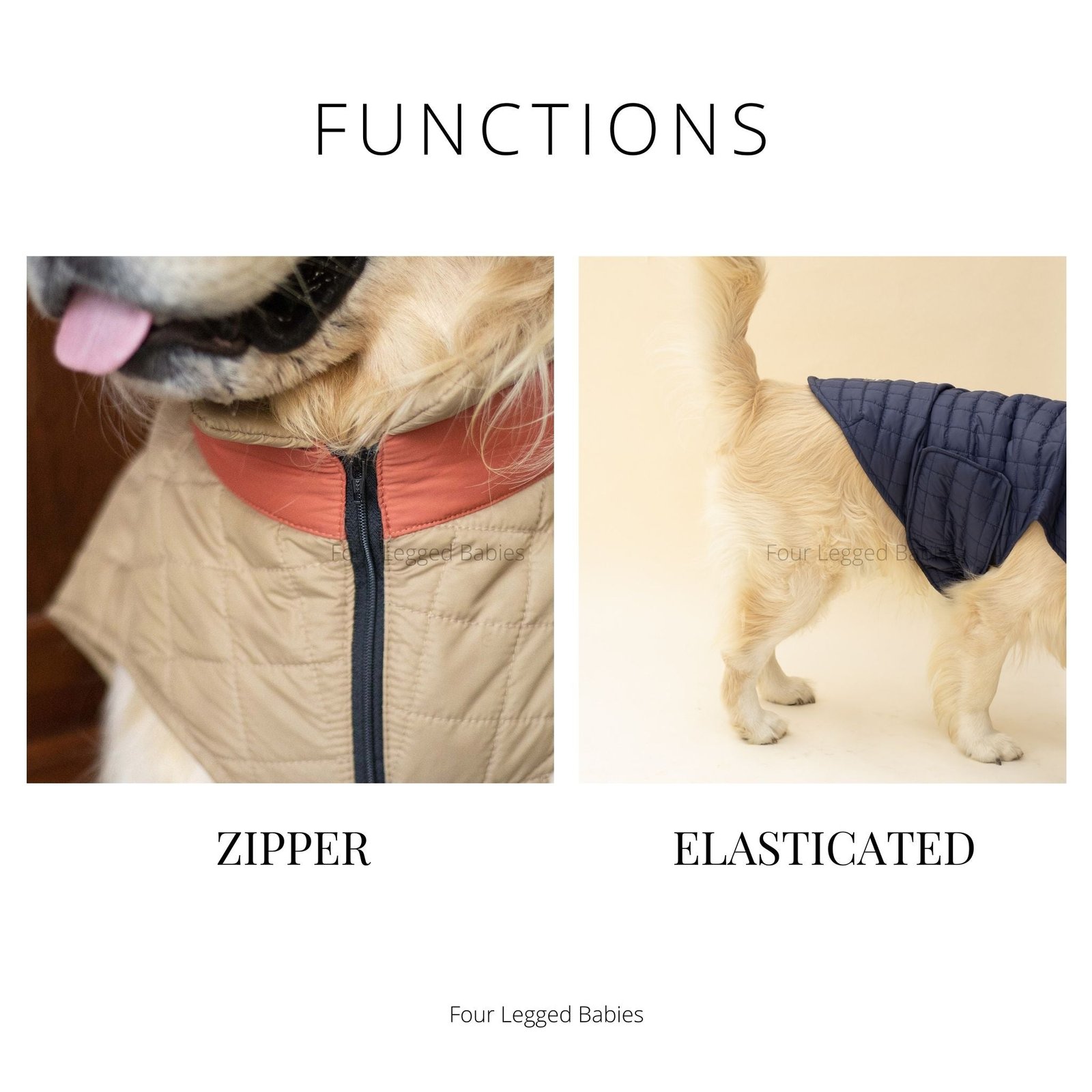 New Quilted Dog jacket black - Image 6