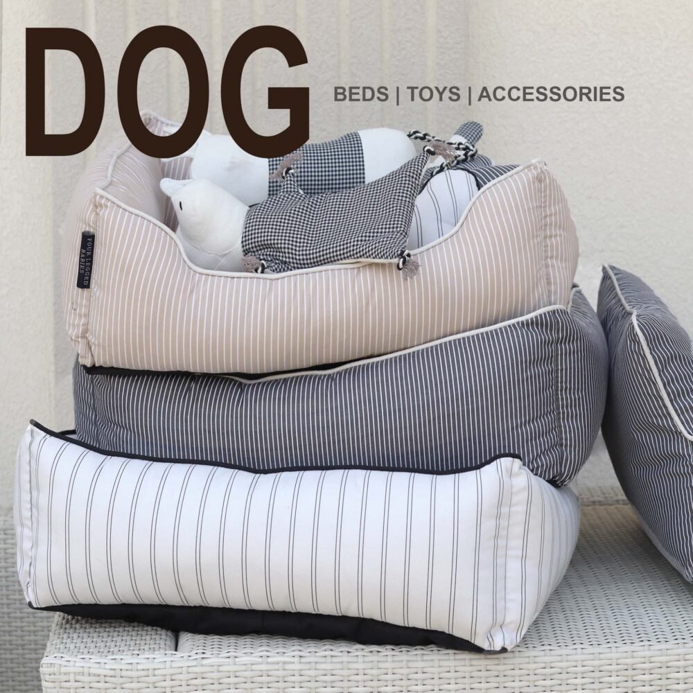 DOGADA_bfa6aca1-c894-4bc5-9b9c-daad328c8035.jpg