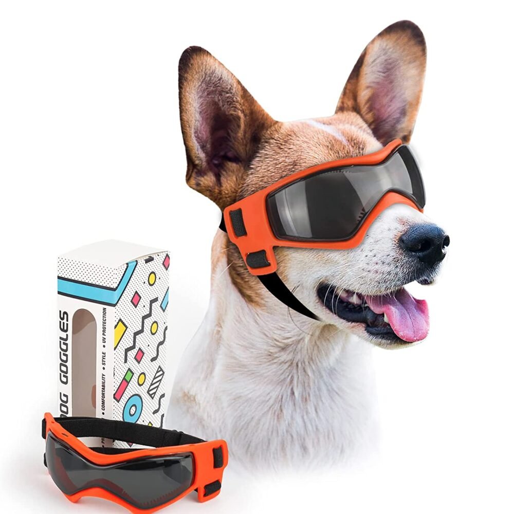 Adjustable Sunglasses for Small and Medium Breed Dogs. UV Protection. Easy to Wear. Dog Accessory