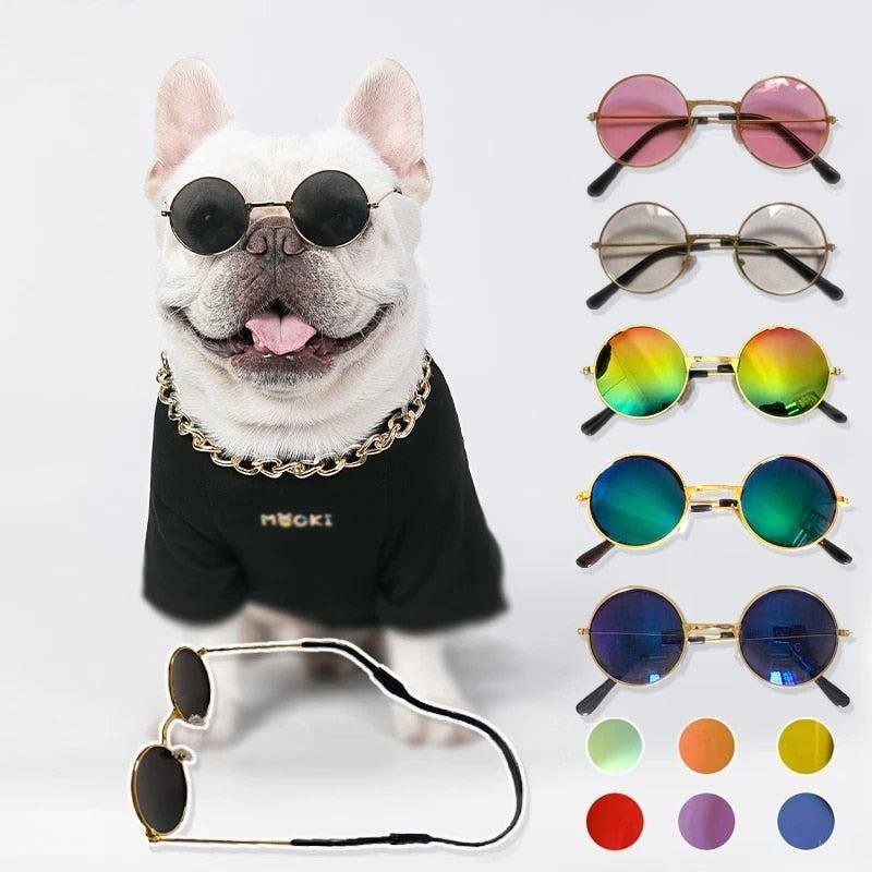 Round Sunglasses for Cats. Reflective Glasses for Small Dogs. Perfect Photo Props