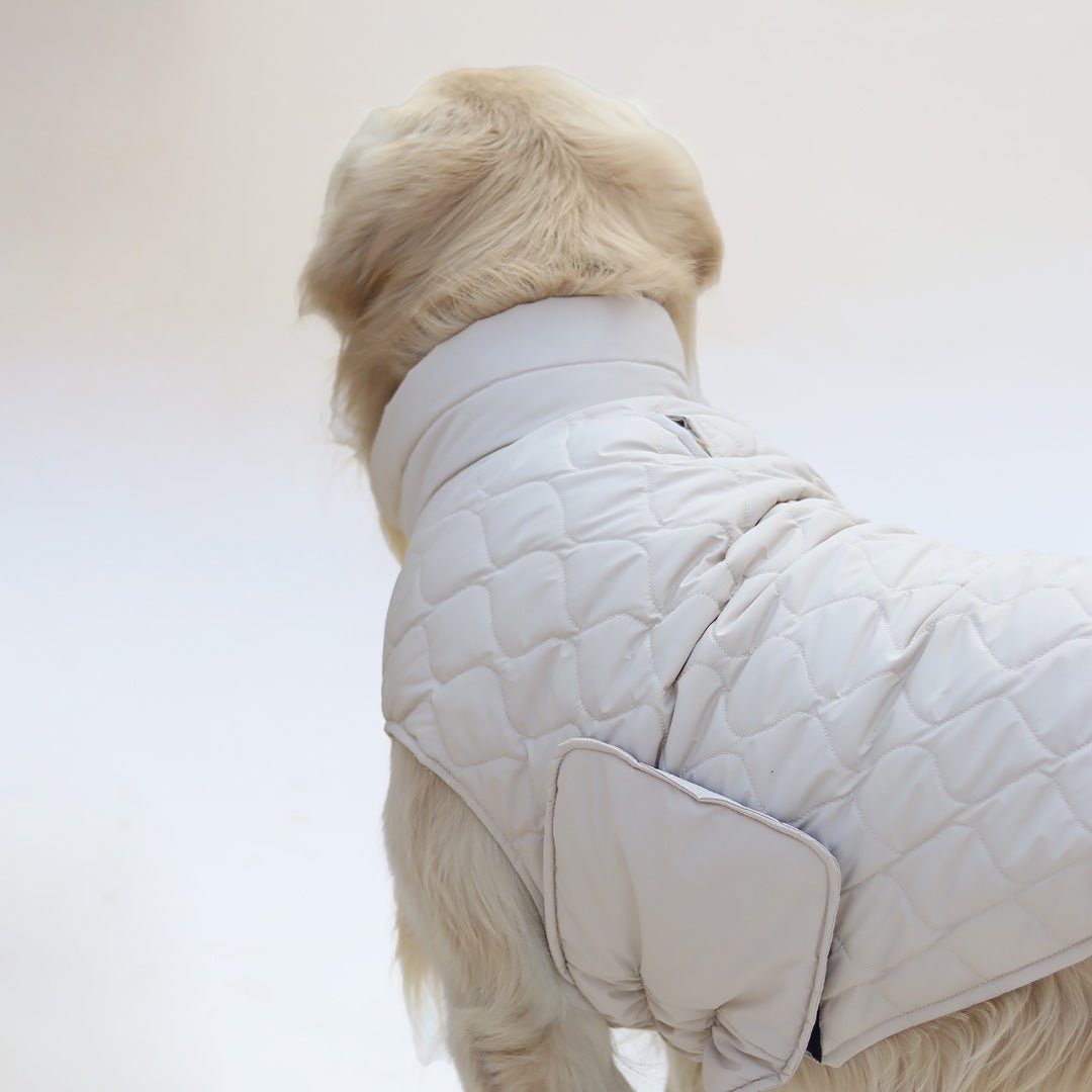 New Quilted Dog jacket Ecru - Image 5