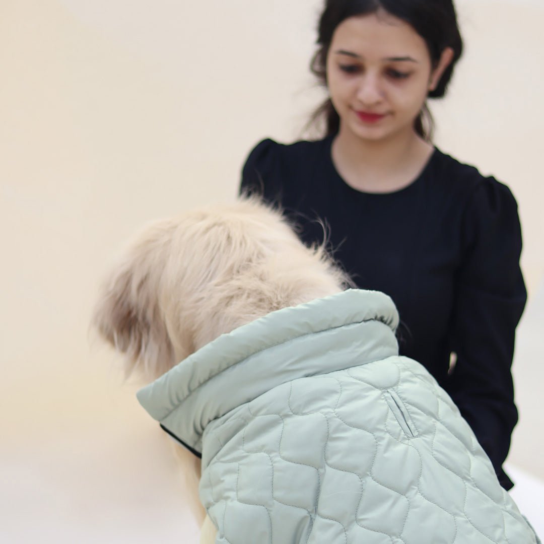 New Quilted Dog jacket Pistache - Image 6