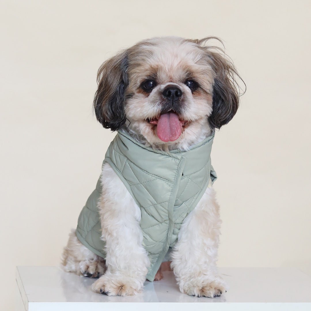 New Pistache Packable Quilted Dog jacket - Image 2