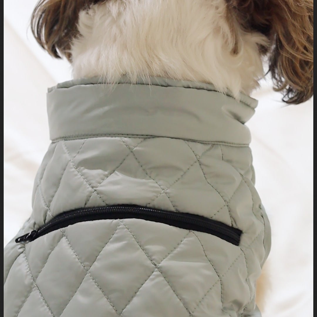 New Pistache Packable Quilted Dog jacket - Image 4