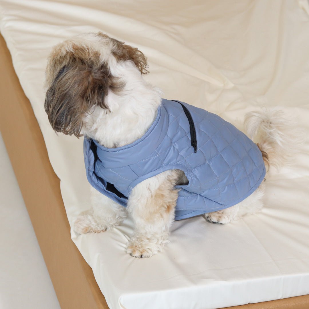 New Sky Blue Packable Quilted Dog jacket - Image 4