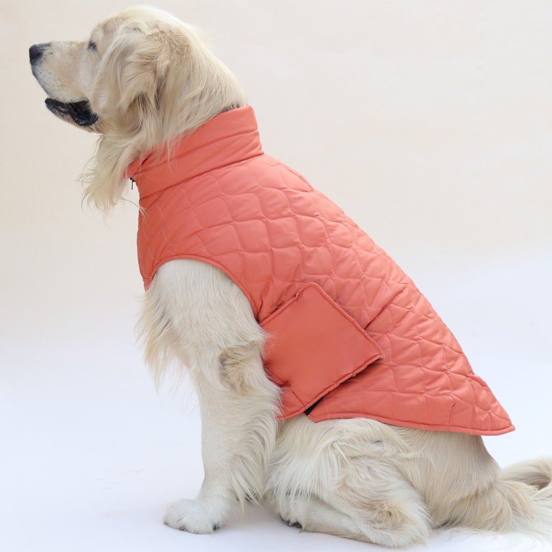 New Quilted Dog jacket Mid Orange - Image 3