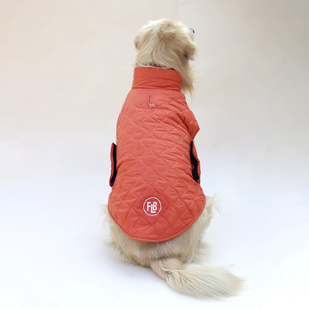 New Quilted Dog jacket Mid Orange - Image 6