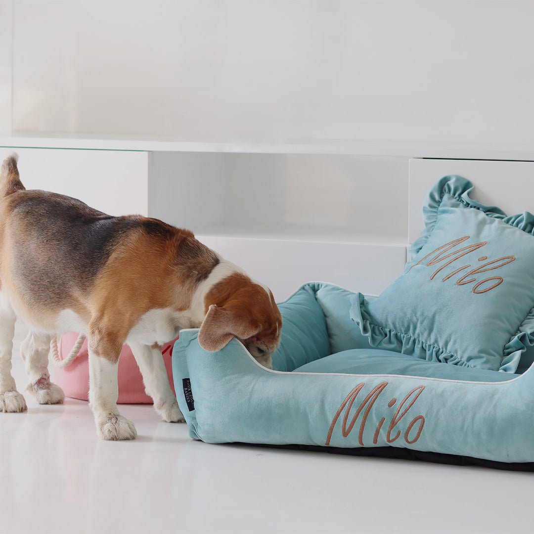 Personalized Luxury dog bed and cushion gift set - Image 3