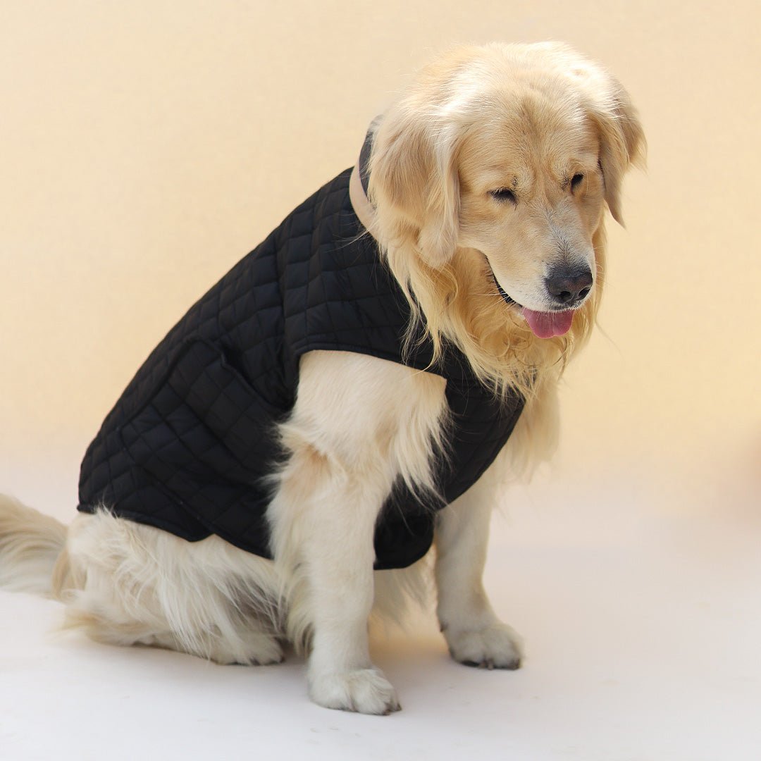 New Quilted Dog jacket black - Image 3