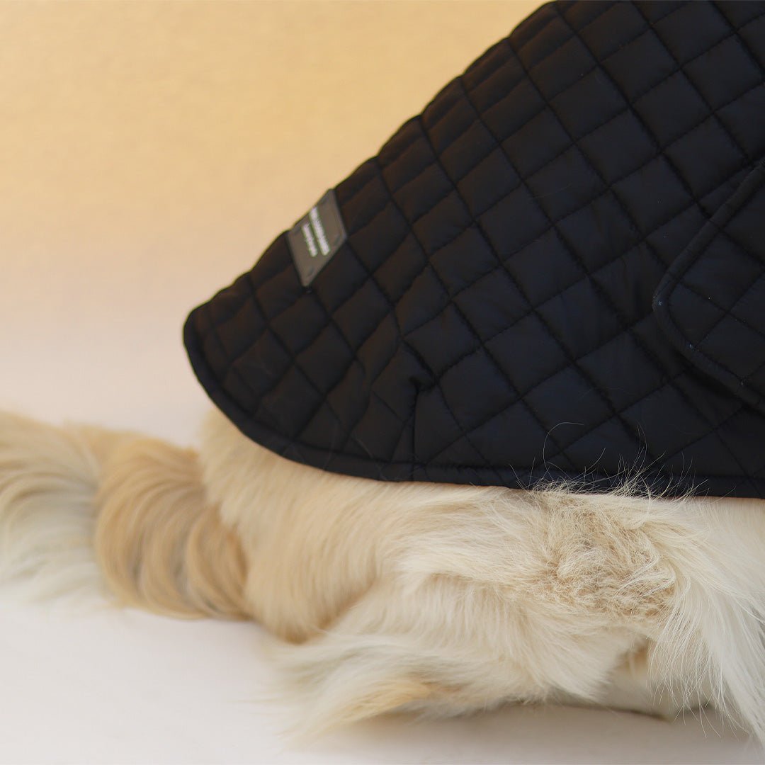 New Quilted Dog jacket black - Image 7