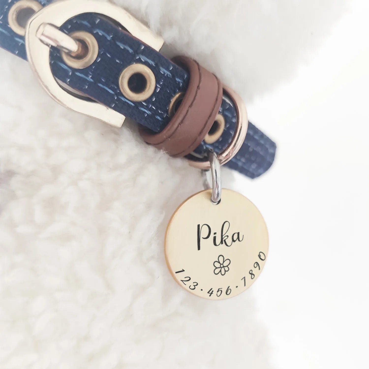 Personalized Identification Medal Accessory for Dogs and Cats with Engraving - Image 7