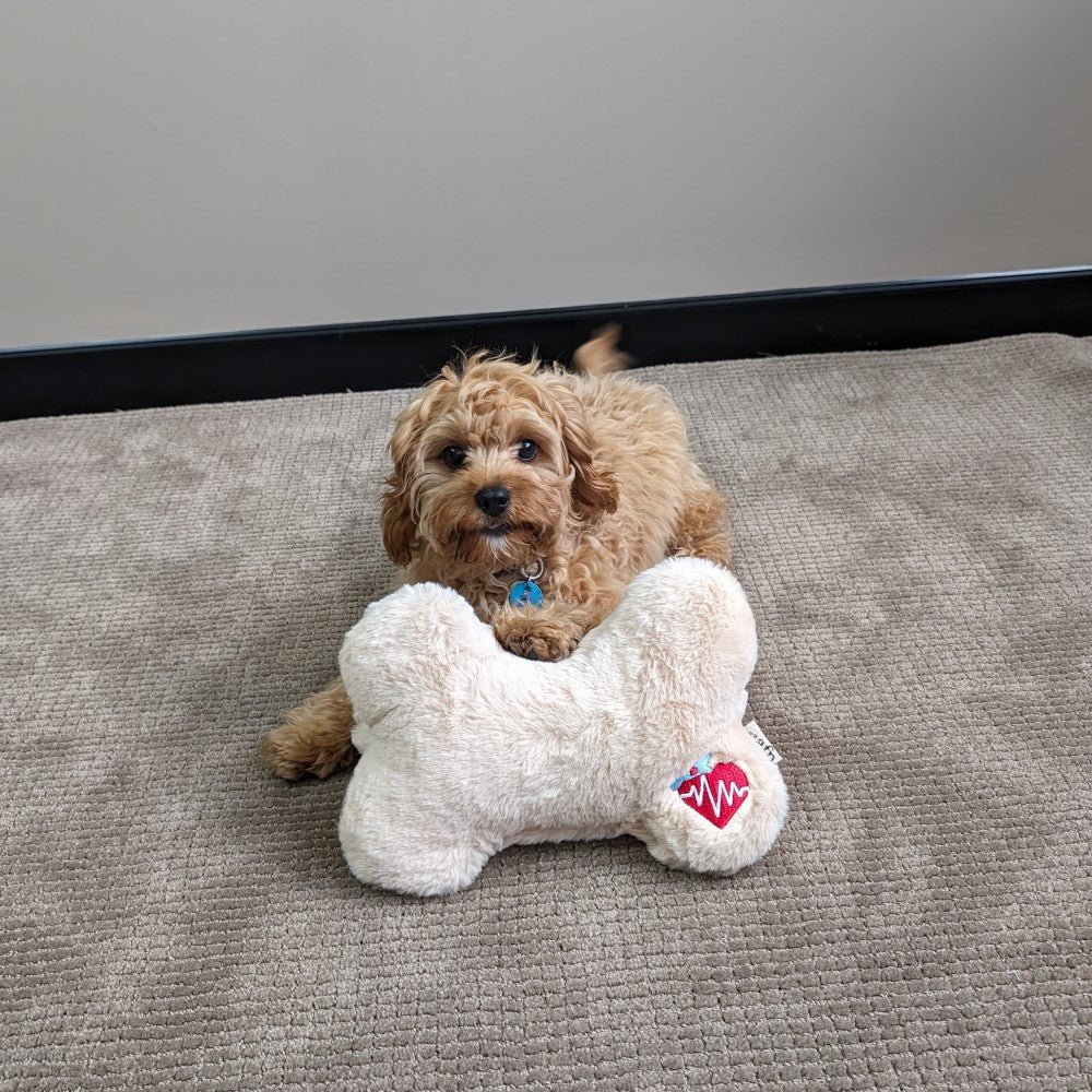 All For Paws Little Buddy Heart Beat Pillow - Image 3