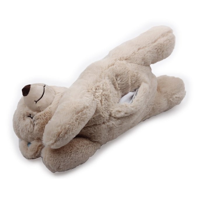 All For Paws Little Buddy Warm Bear - Image 3