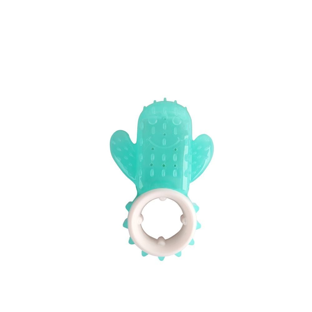All For Paws Pups Cactus Chill Teething Toy